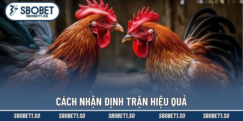 Cách nhận định trận hiệu quả