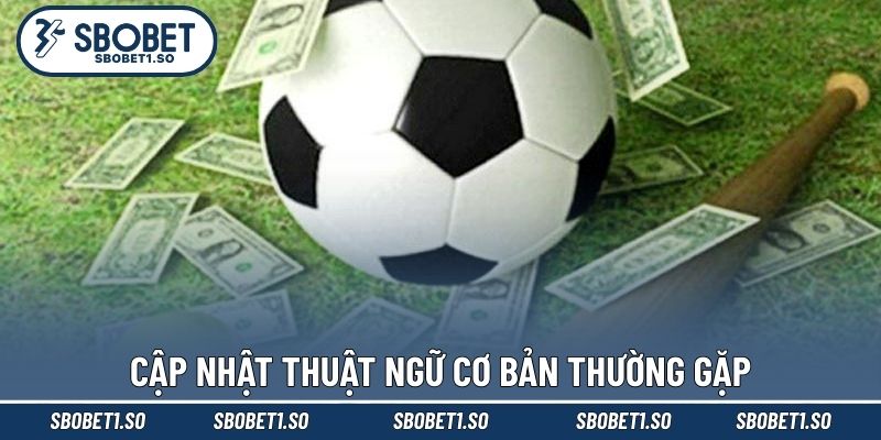 Cập nhật thuật ngữ cơ bản thường gặp