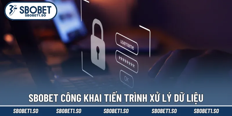 Chính sách bảo mật Sbobet công khai tiến trình xử lý dữ liệu