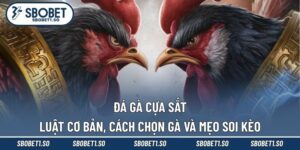 Đá Gà Cựa Sắt