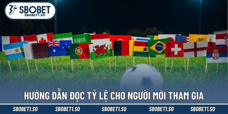 Hướng dẫn đọc tỷ lệ cho người mới tham gia