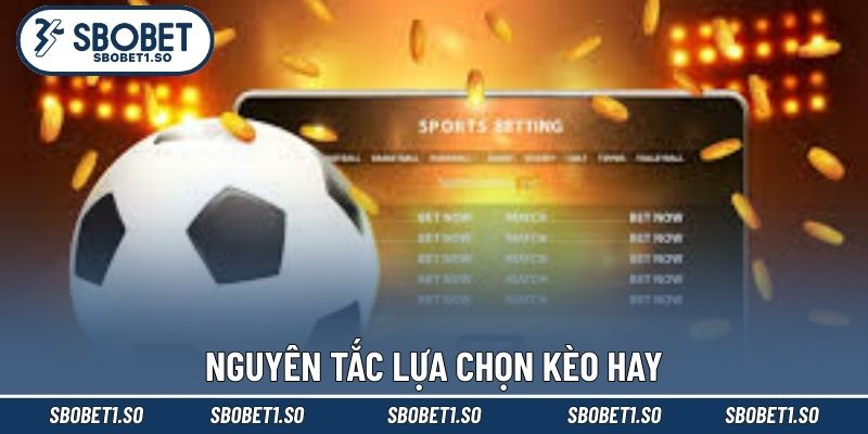 Nguyên tắc lựa chọn kèo hay