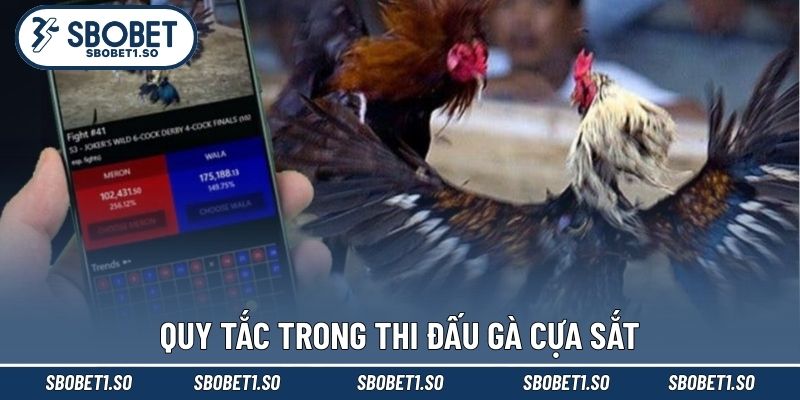 Quy tắc trong thi đấu gà cựa sắt