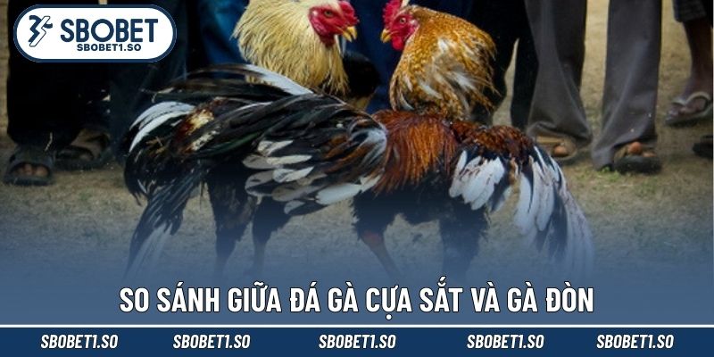 So sánh giữa đá gà cựa sắt và gà đòn