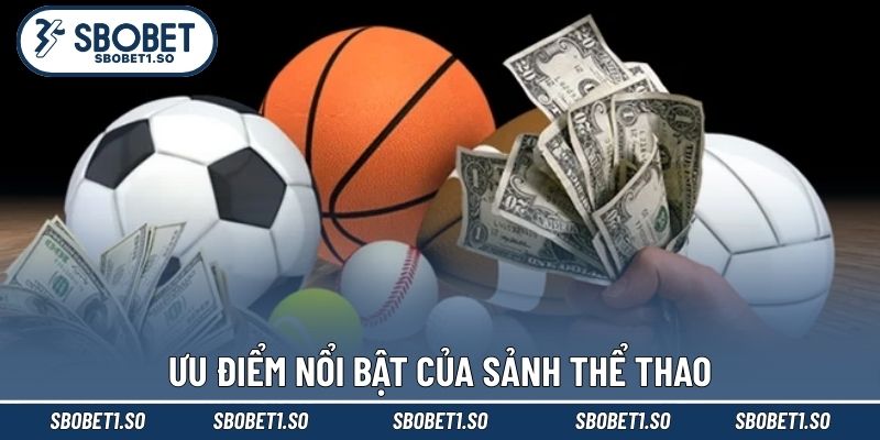 Ưu điểm nổi bật của sảnh thể thao